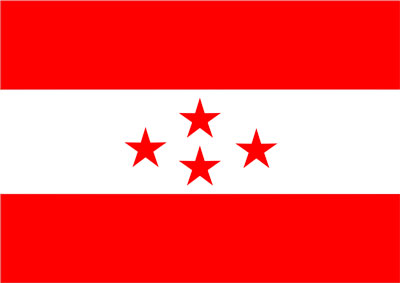 Nepali-Congress-Flag1315101735