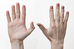 Human-Hands