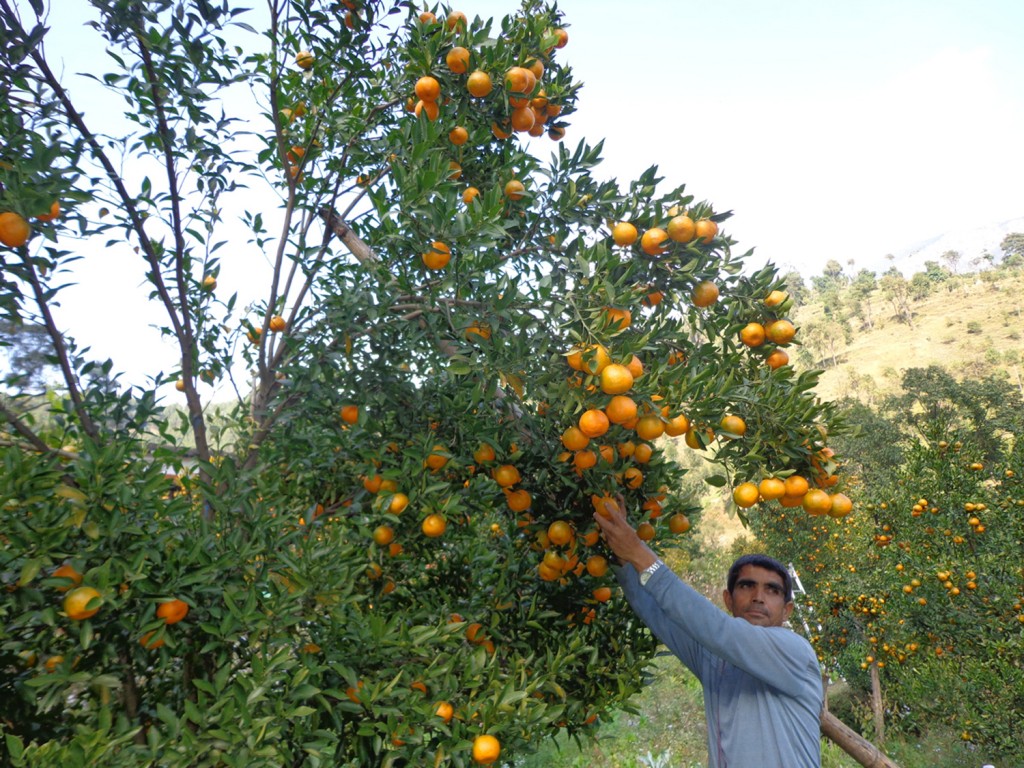 Suntala-Myagdi