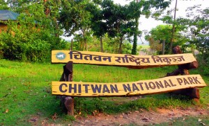 chitwan-national-park-82420
