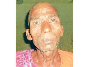 jugal