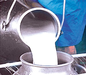 milk-collection_g