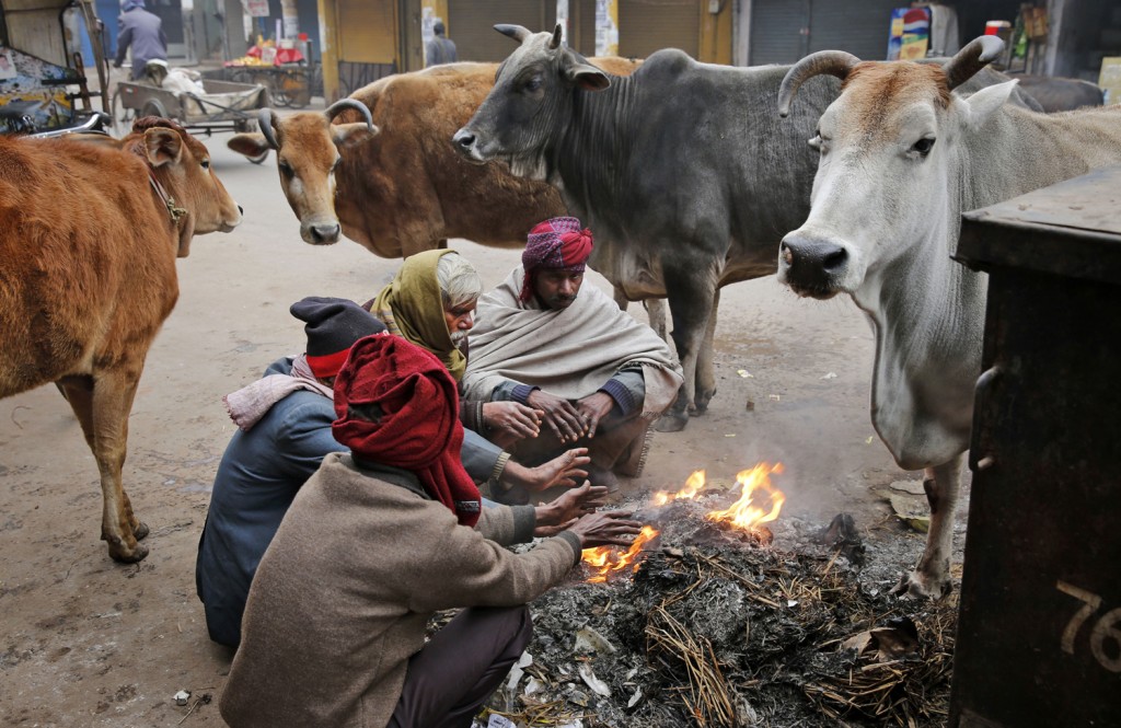 India Cold Weather