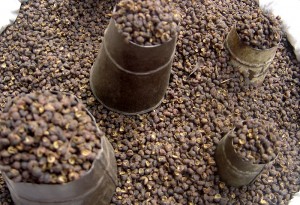 Nepal 2007 059