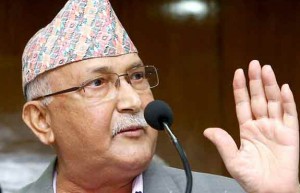 kp oli